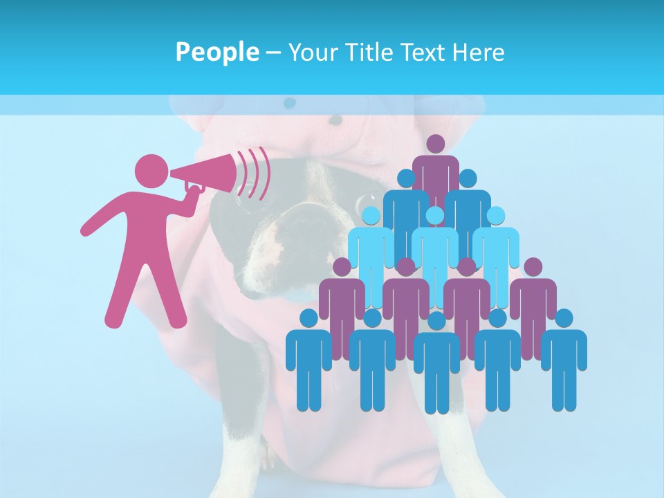 A Boston Terrier In A Pig Costume PowerPoint Template