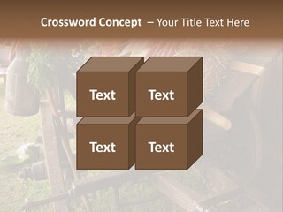 Board Surfboard Surf PowerPoint Template