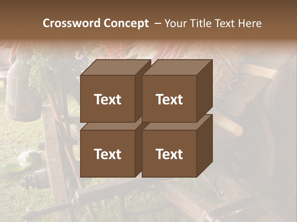 Board Surfboard Surf PowerPoint Template