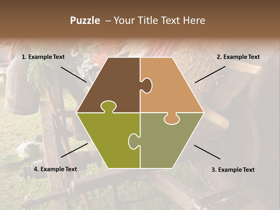 Board Surfboard Surf PowerPoint Template