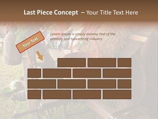 Board Surfboard Surf PowerPoint Template