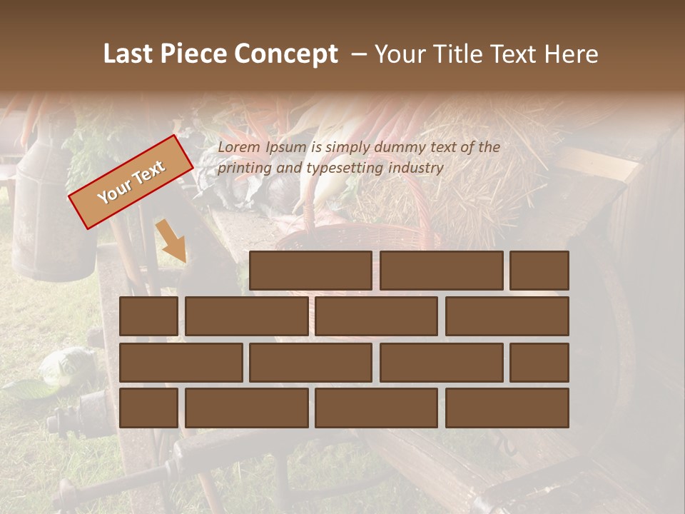 Board Surfboard Surf PowerPoint Template