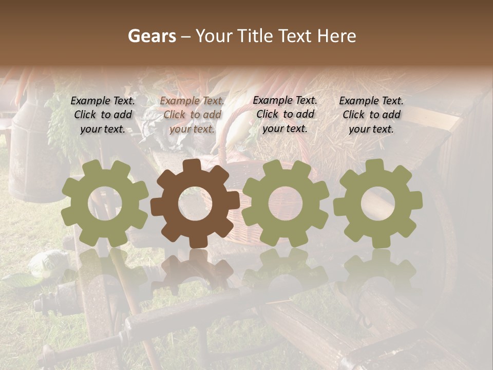 Board Surfboard Surf PowerPoint Template