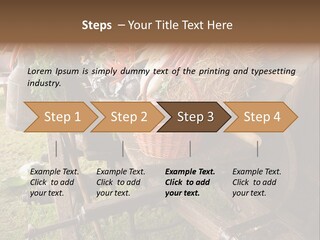 Board Surfboard Surf PowerPoint Template