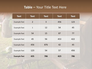 Board Surfboard Surf PowerPoint Template