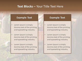 Board Surfboard Surf PowerPoint Template