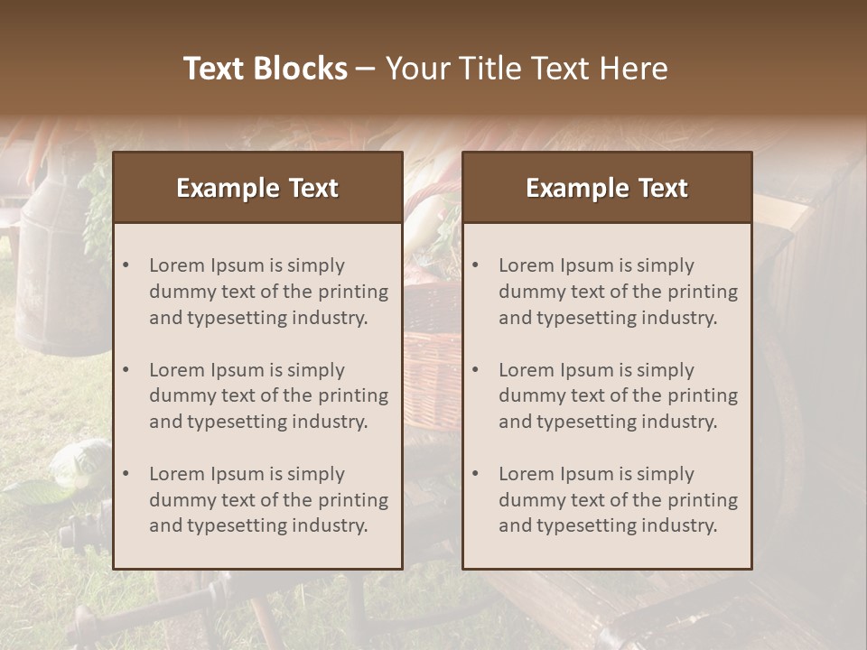 Board Surfboard Surf PowerPoint Template