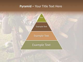 Board Surfboard Surf PowerPoint Template