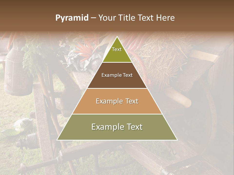 Board Surfboard Surf PowerPoint Template