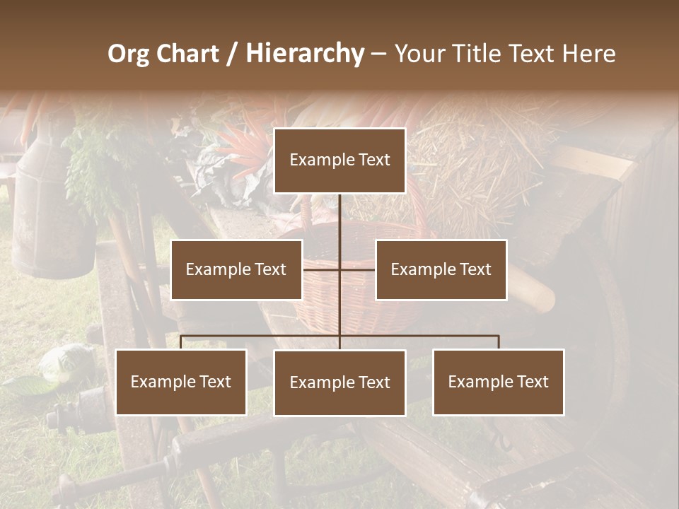 Board Surfboard Surf PowerPoint Template