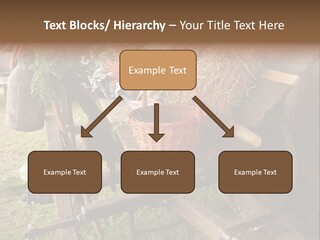 Board Surfboard Surf PowerPoint Template