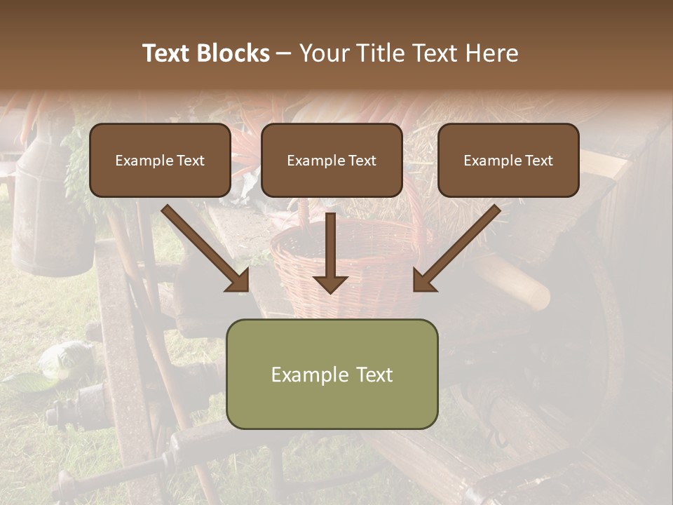 Board Surfboard Surf PowerPoint Template