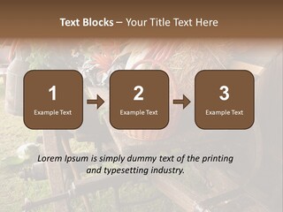 Board Surfboard Surf PowerPoint Template