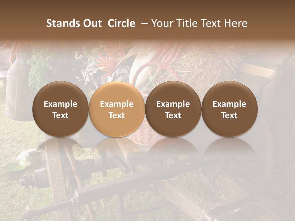 Board Surfboard Surf PowerPoint Template