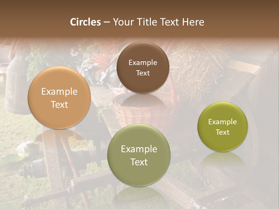 Board Surfboard Surf PowerPoint Template
