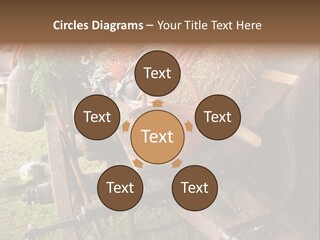 Board Surfboard Surf PowerPoint Template