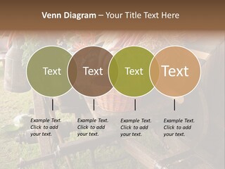 Board Surfboard Surf PowerPoint Template