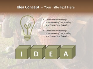 Board Surfboard Surf PowerPoint Template