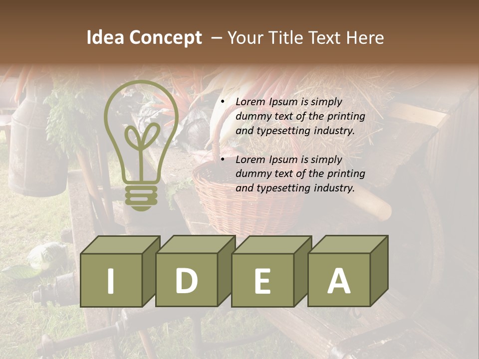 Board Surfboard Surf PowerPoint Template