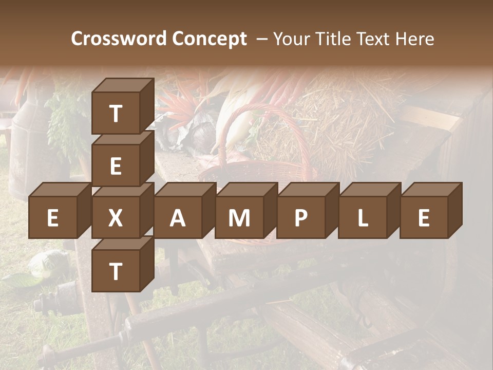 Board Surfboard Surf PowerPoint Template