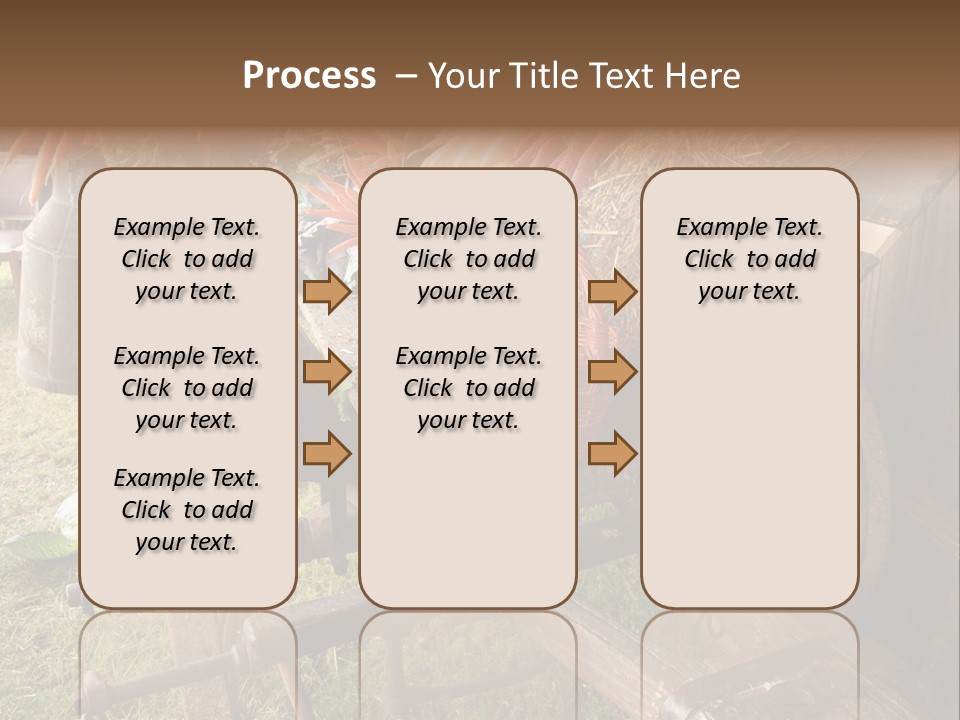 Board Surfboard Surf PowerPoint Template