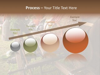 Board Surfboard Surf PowerPoint Template
