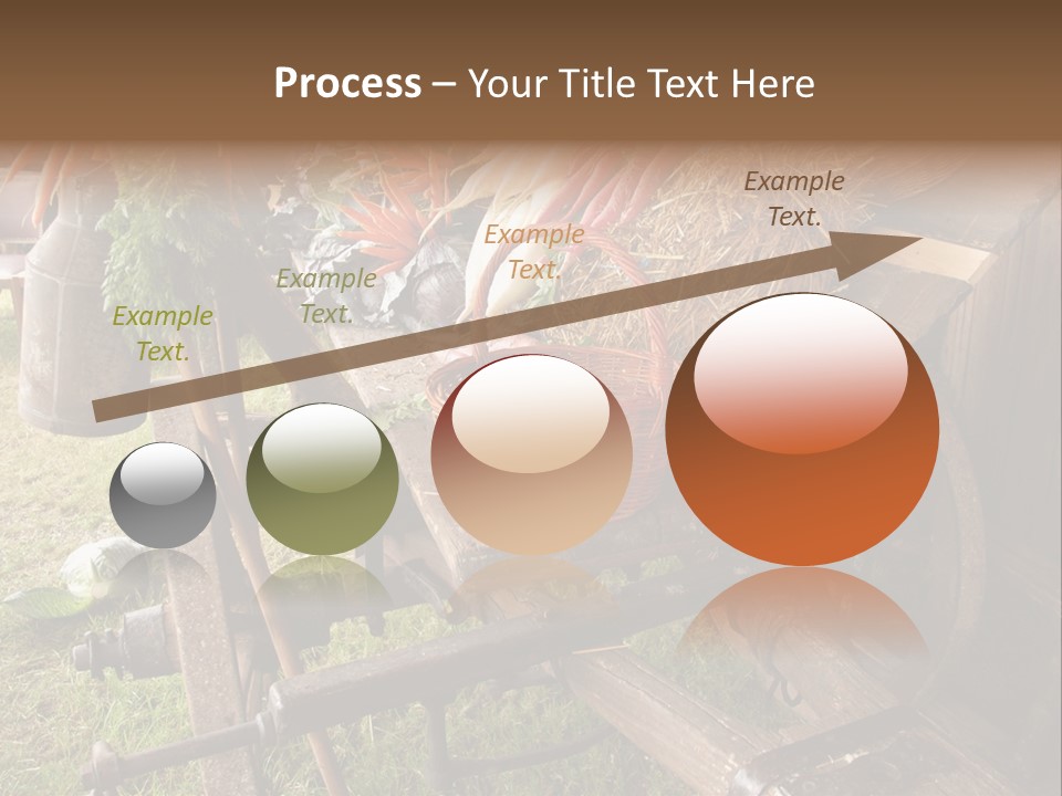 Board Surfboard Surf PowerPoint Template