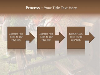 Board Surfboard Surf PowerPoint Template