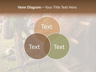 Board Surfboard Surf PowerPoint Template