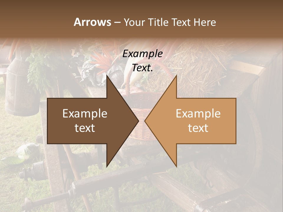 Board Surfboard Surf PowerPoint Template