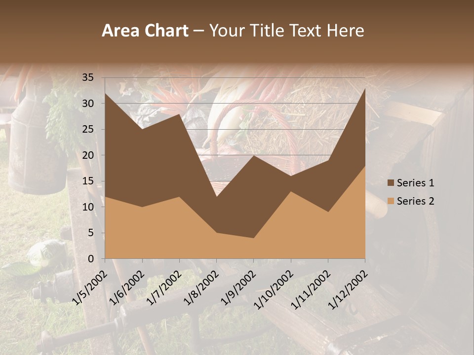 Board Surfboard Surf PowerPoint Template