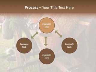 Board Surfboard Surf PowerPoint Template