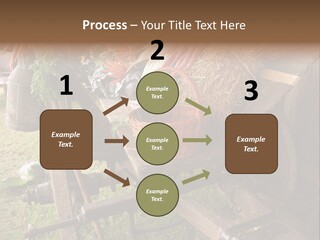 Board Surfboard Surf PowerPoint Template