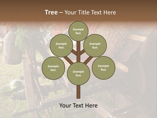 Board Surfboard Surf PowerPoint Template