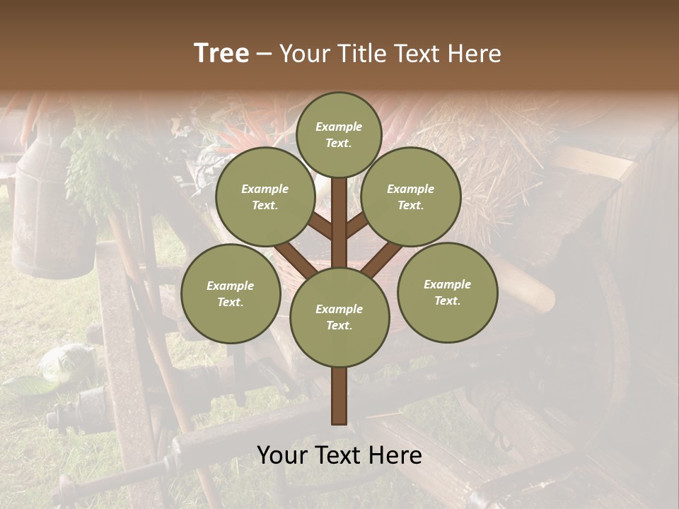 Board Surfboard Surf PowerPoint Template