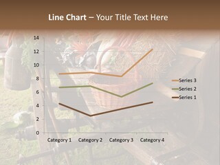 Board Surfboard Surf PowerPoint Template