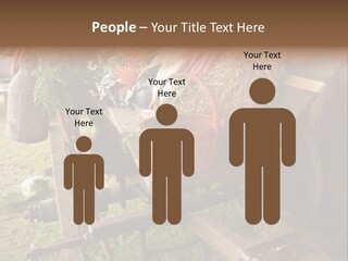 Board Surfboard Surf PowerPoint Template