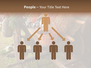 Board Surfboard Surf PowerPoint Template