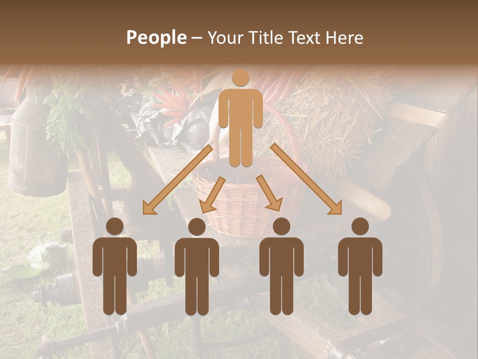 Board Surfboard Surf PowerPoint Template