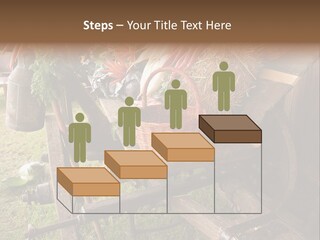 Board Surfboard Surf PowerPoint Template