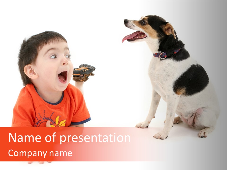 Toddler Boy On Floor Playing With Dog. Shot In Studio Over White. PowerPoint Template