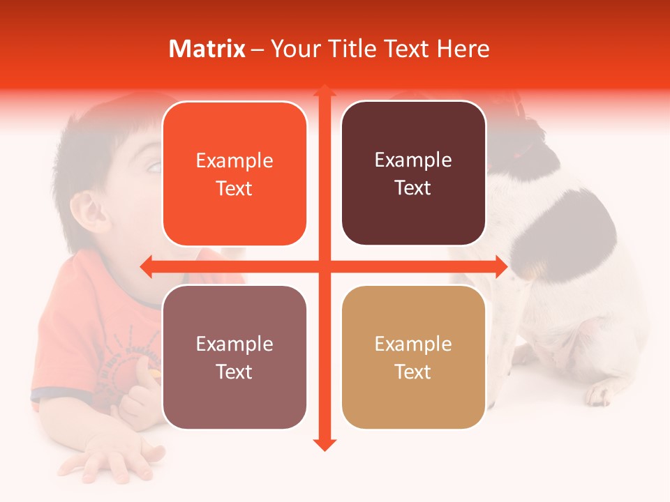 Toddler Boy On Floor Playing With Dog. Shot In Studio Over White. PowerPoint Template