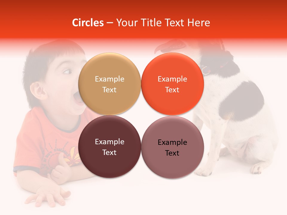 Toddler Boy On Floor Playing With Dog. Shot In Studio Over White. PowerPoint Template