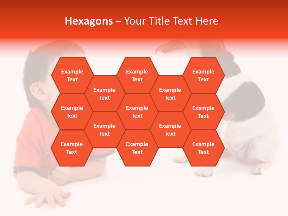 Toddler Boy On Floor Playing With Dog. Shot In Studio Over White. PowerPoint Template