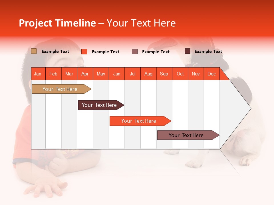 Toddler Boy On Floor Playing With Dog. Shot In Studio Over White. PowerPoint Template