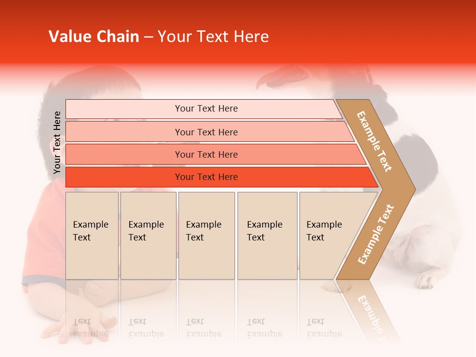 Toddler Boy On Floor Playing With Dog. Shot In Studio Over White. PowerPoint Template