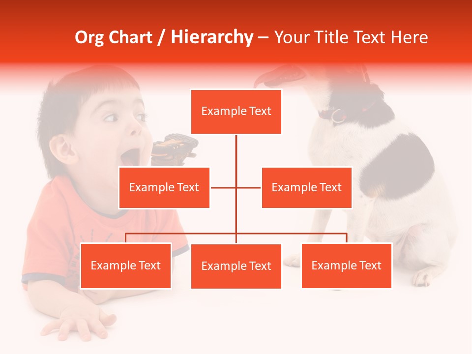 Toddler Boy On Floor Playing With Dog. Shot In Studio Over White. PowerPoint Template