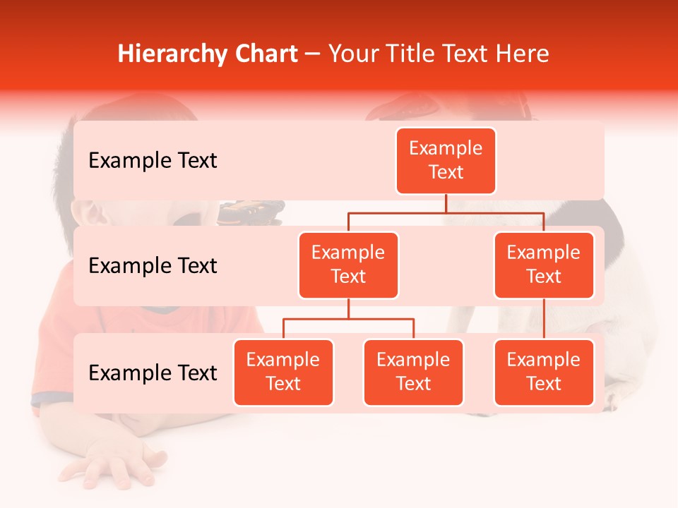Toddler Boy On Floor Playing With Dog. Shot In Studio Over White. PowerPoint Template