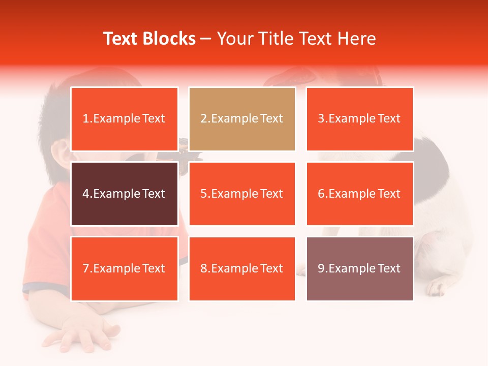 Toddler Boy On Floor Playing With Dog. Shot In Studio Over White. PowerPoint Template