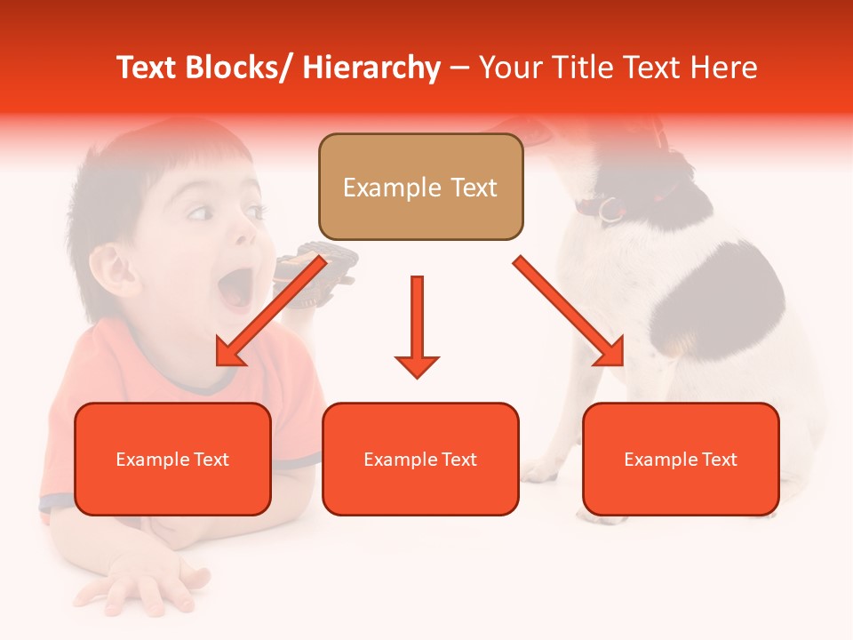 Toddler Boy On Floor Playing With Dog. Shot In Studio Over White. PowerPoint Template